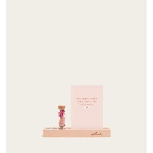 Letterbox gift Wish flowers Pink